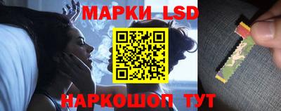 МДПВ Новозыбков