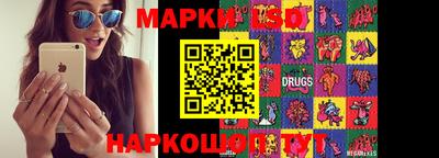 МДПВ Новозыбков