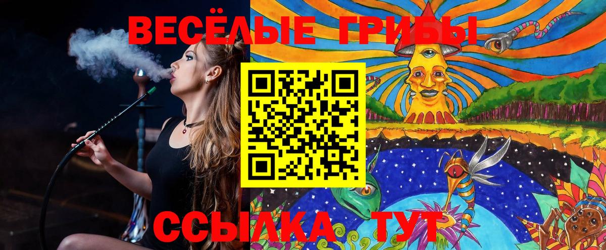 Псилоцибиновые грибы MAGIC MUSHROOMS Сибай