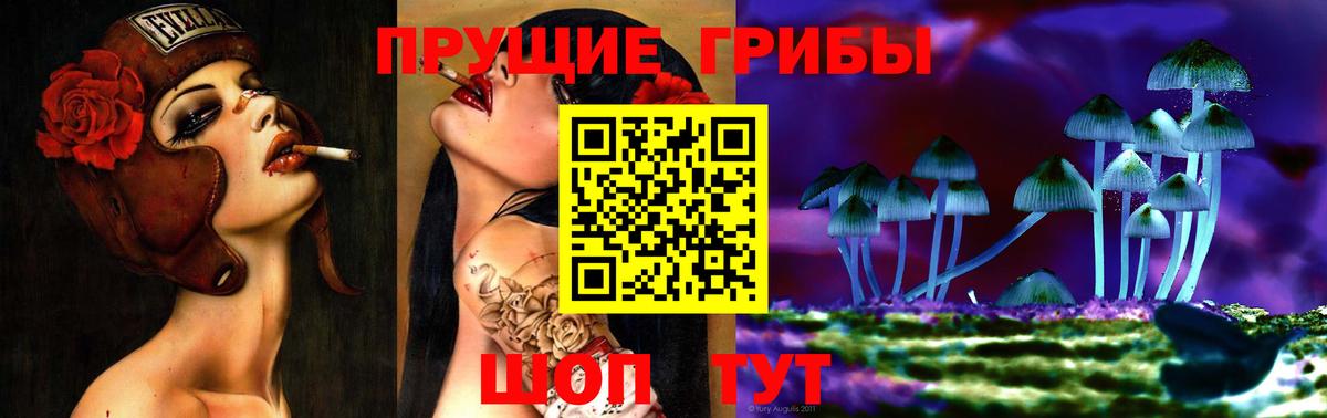 Галлюциногенные грибы Psilocybe  Галлюциногенные грибы ЛСД  Вход с VPN  Сибай 